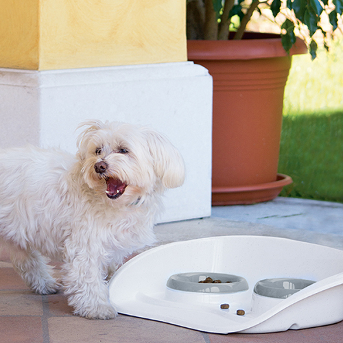 Stefanplast Set Dinner