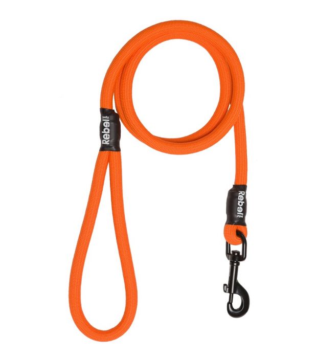 REBEL PETZ - ORANGE BASIC LEASH LARGE