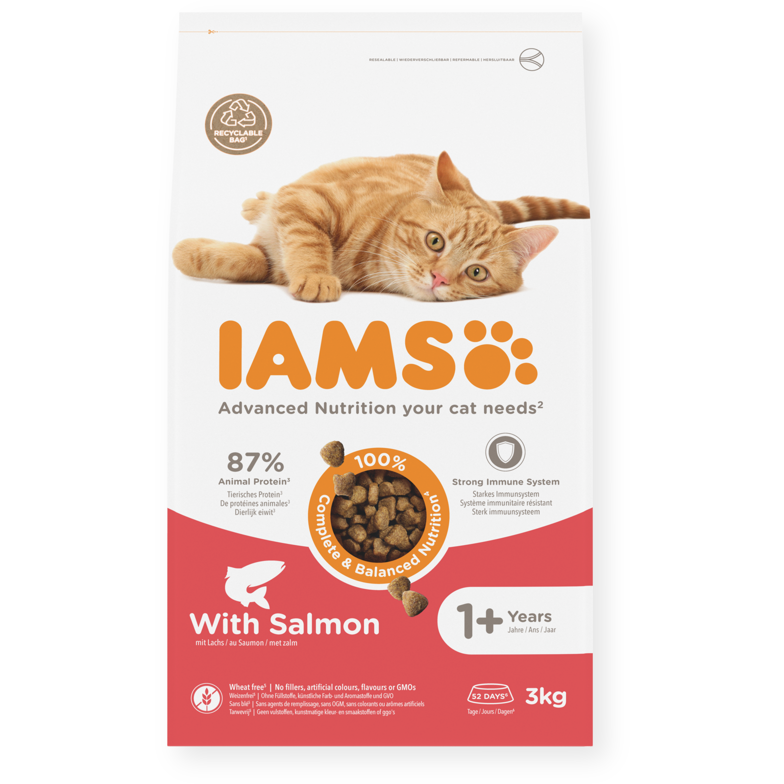 IAMS Dry Food Adult Salmon