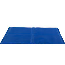 COOLOMG MAT L 65X50CM BLUE