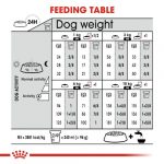 Royal Canin Mini Coat Care