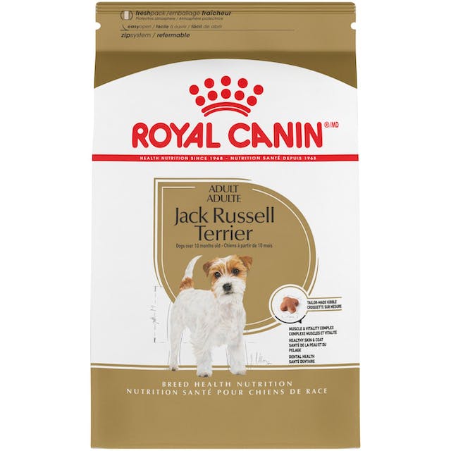 Royal Canin Jack Russel Adult