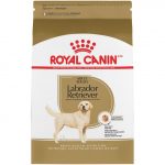 Royal Canin Labrador Adult - Image 2