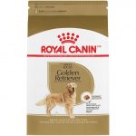 Royal Canin Golden Retriever Adult - Image 2