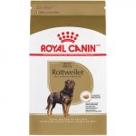 Royal Canin Rottweiler Adult - Image 2