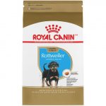 Royal Canin Rottweiler Puppy - Image 2