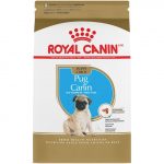 Royal Canin Pug Puppy - Image 2