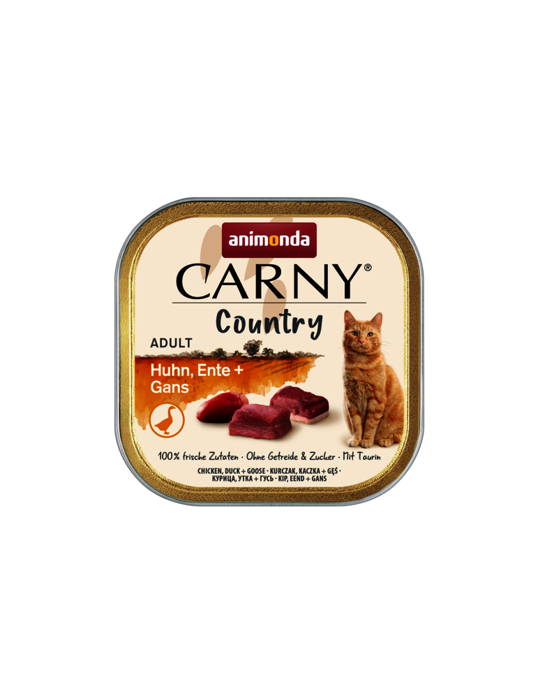 Carny Country with chicken, duck and goose