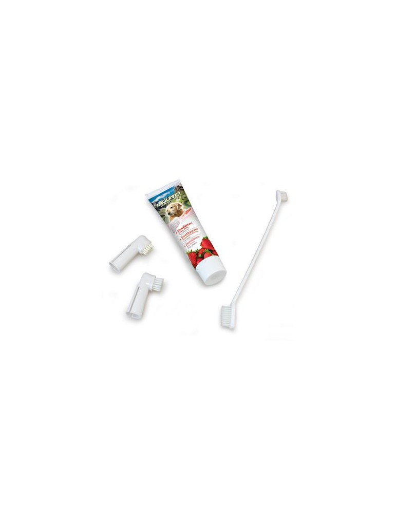 Dental kit for dogs strawberry flavour