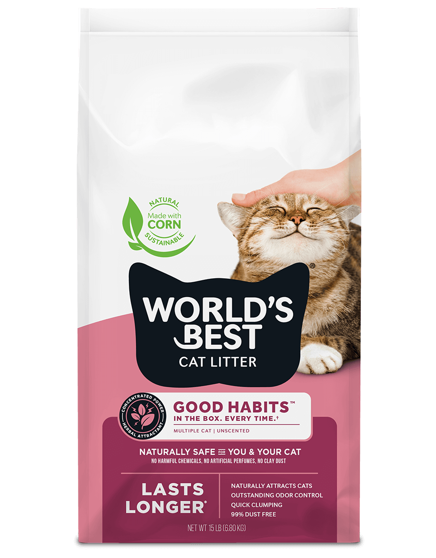 World’s Best Cat Litter Good Habits