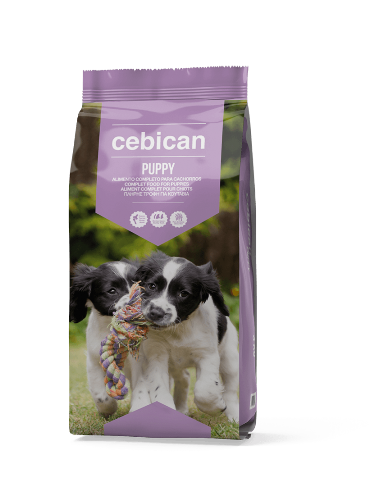 Cebican Puppy