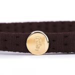 MyFamily Milano Dog Leash in Premier Quality Italian Brown Nylon with 24K Gold Plated finishing - Image 2