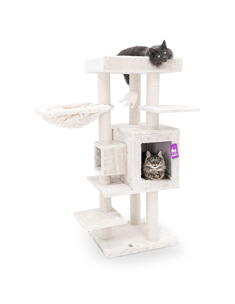 PetRebels Cleopatra 134 Cream