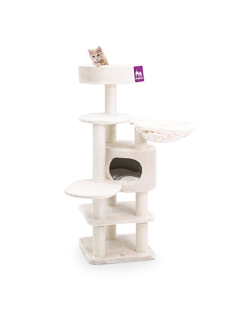 PetRebels Jane 138 Cream