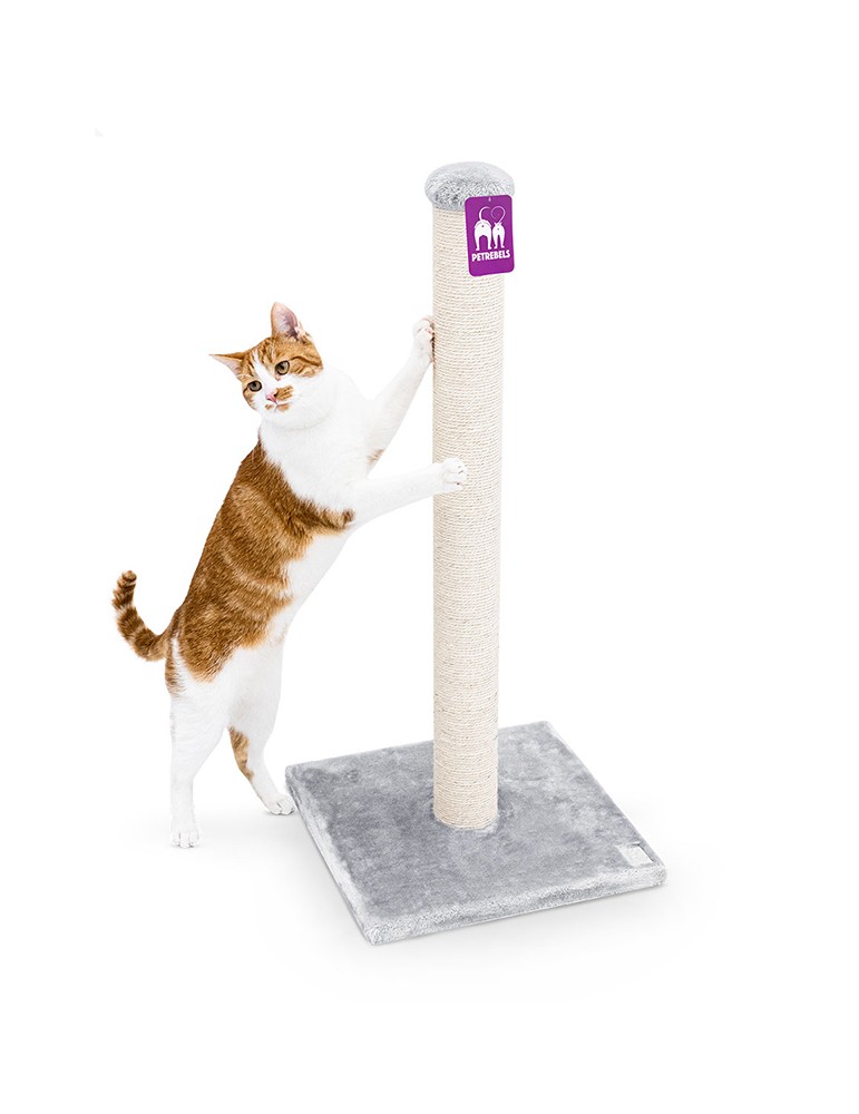 PetRebels Maine 90 Grey