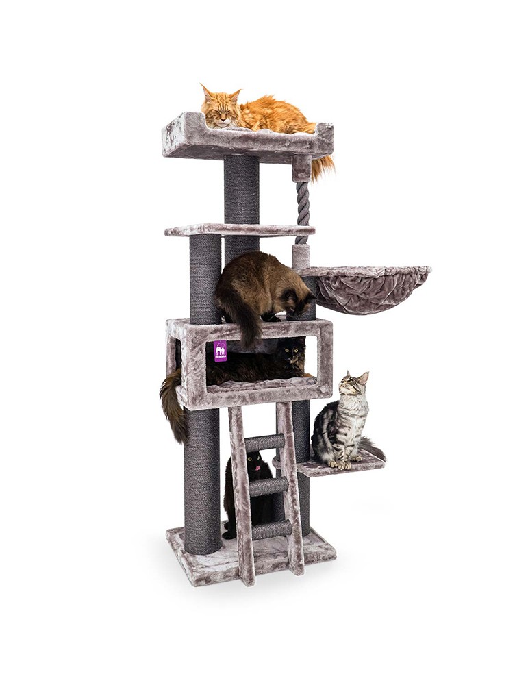 PetRebels Parklane 175 Cappuccino