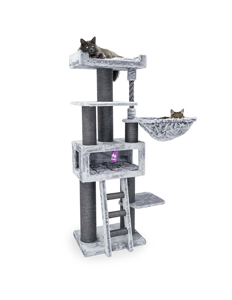 PetRebels Parklane 175 Grey