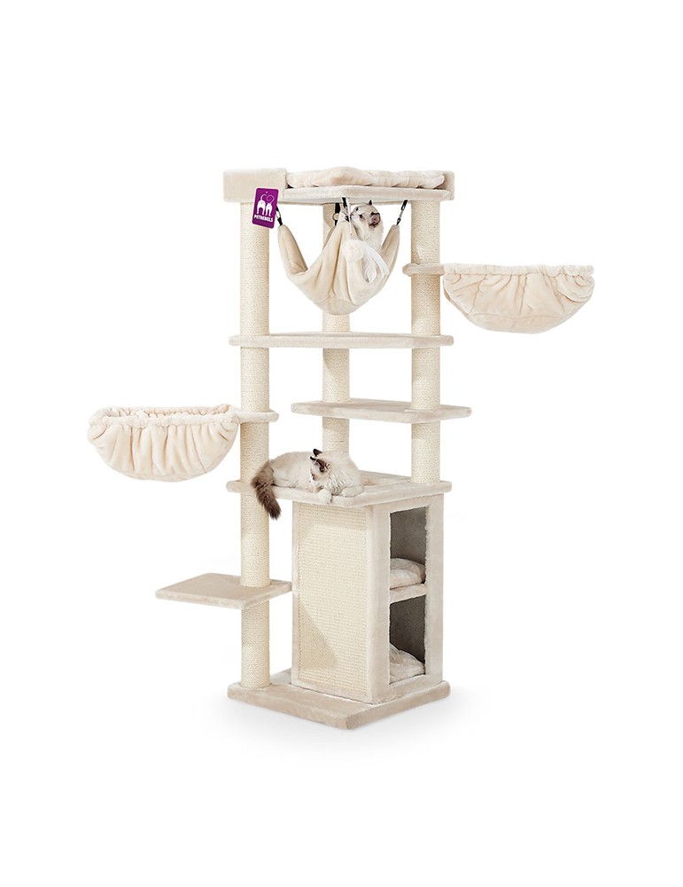 PetRebels Ramses 158 Cream