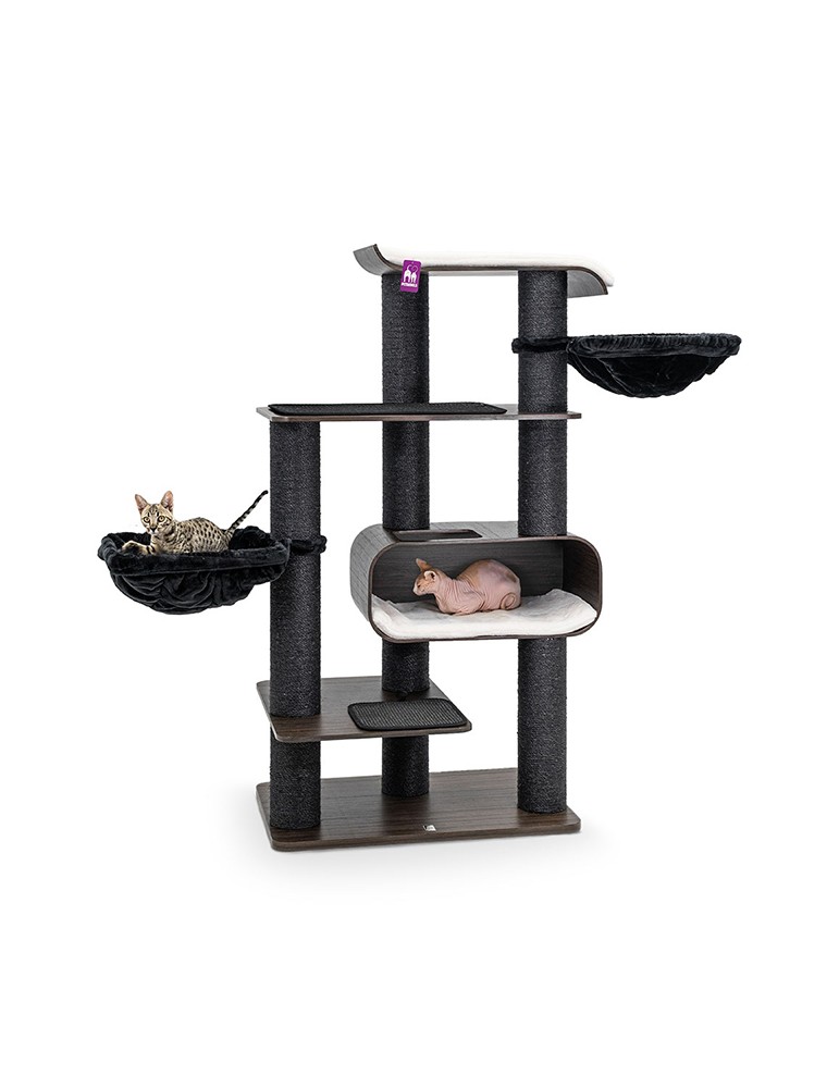 PetRebels Virgo 173 Wenge