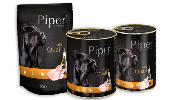 PIPER DOG WITH QUAIL