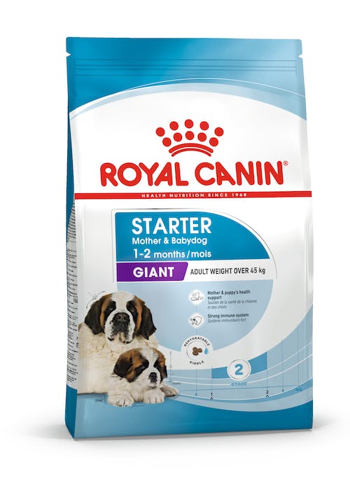 Royal Canin Giant Starter