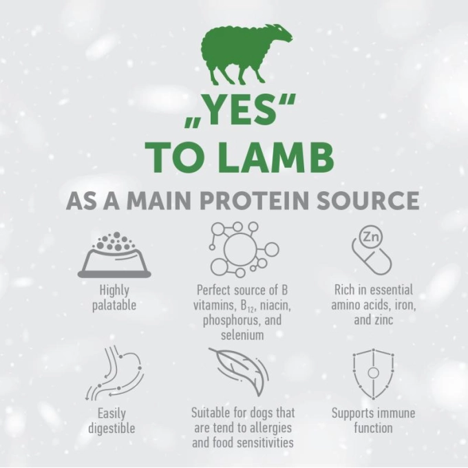 NATURE’S PROTECTION SUPERIOR CARE dry grain free food for adult dogs of small breeds with red coat, with lamb - Image 2