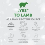 NATURE’S PROTECTION SUPERIOR CARE dry grain free food for adult dogs of all breeds with red coat, with lamb - Image 2