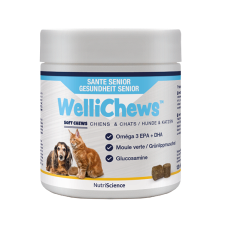Wellichews Senior Health Chews Small Dog/Cat